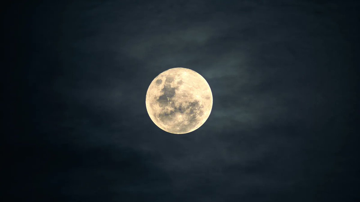 INGVambiente's tweet photo. Oggi #19settembre è uno dei giorni dell’anno in cui la #Luna orbita a maggior distanza dalla Terra, per cui la vedremo più piccola. Questo influenza le maree causate principalmente dall’attrazione gravitazionale tra Luna e Terra
Per giocare con le maree 👉 https://t.co/0cA0TGP9jH https://t.co/zqKCglVtbs