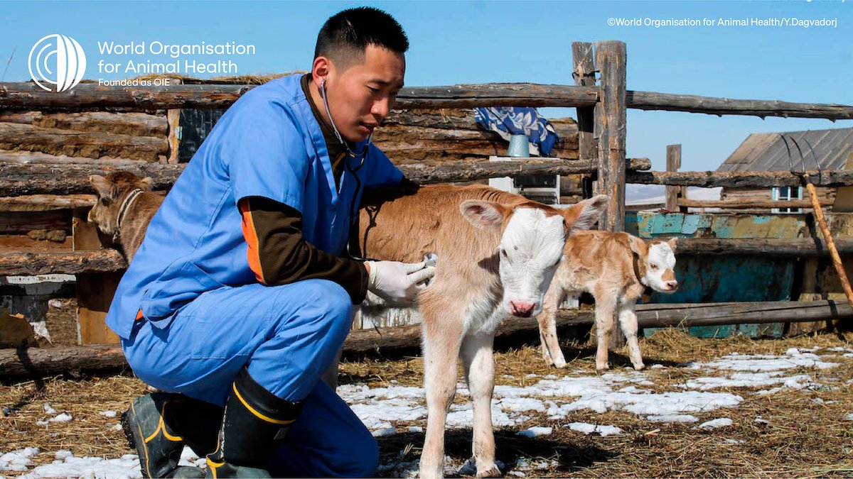 World Organisation for Animal Health on Twitter: World Organisation for Animal Health on Twitter: