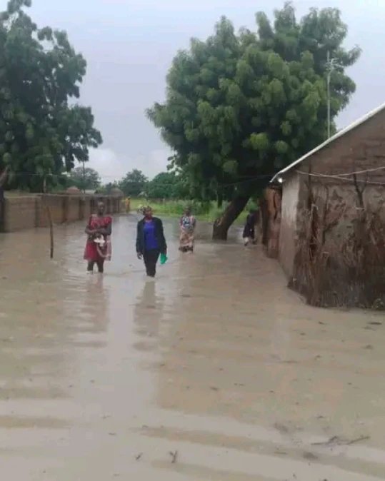 fulfulde24's tweet photo. FACCAM: No Ummaatoore findiri e Faccam Nder Hukuuma pamara Demsa Diiwal Adamawa https://t.co/yXoUZzvWij