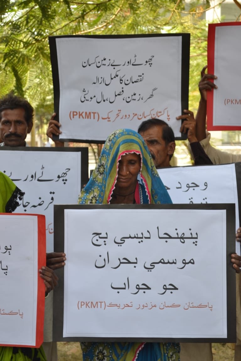 #PKMT women farmers demand relief and rehabilitation from the #Pakistan State. No government effort to help small and landless farmers. #PakistanFloods #SukkurPC #ClimateEmergency