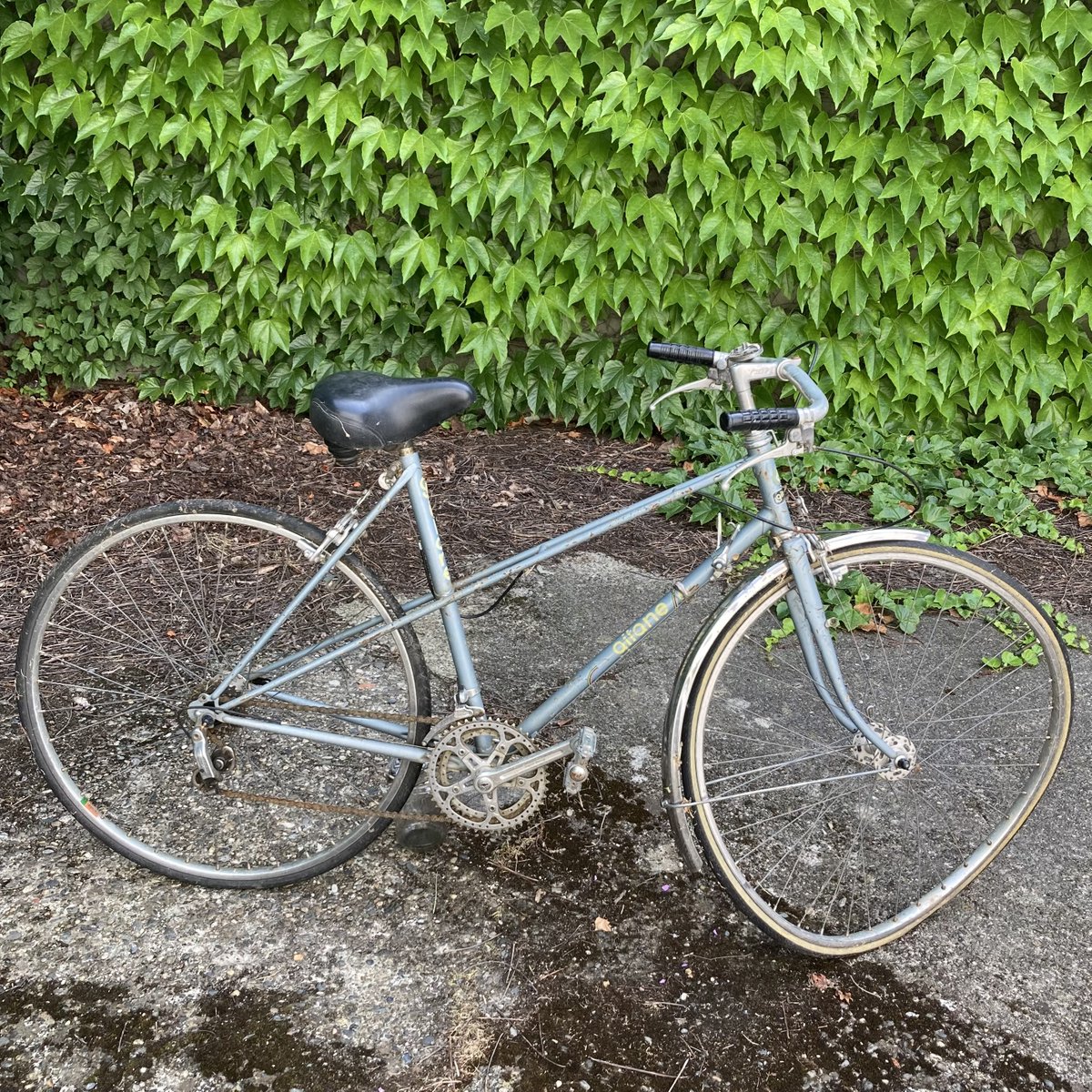 cyclomane_tlse's tweet photo. Avant / Après !

Vélo à vendre, taille de cadre 52 cm (taille de 1m60 à 1m70 environ), me contacter pour plus d'infos. 

#gitane #velo #vélooccasion #vintagebike #velovintage #reparacteur #reparerplutotquejeter #ecoresponsable #preservonslaplanete #reparationvelo #bike #toulouse https://t.co/eoqa3ejMvK