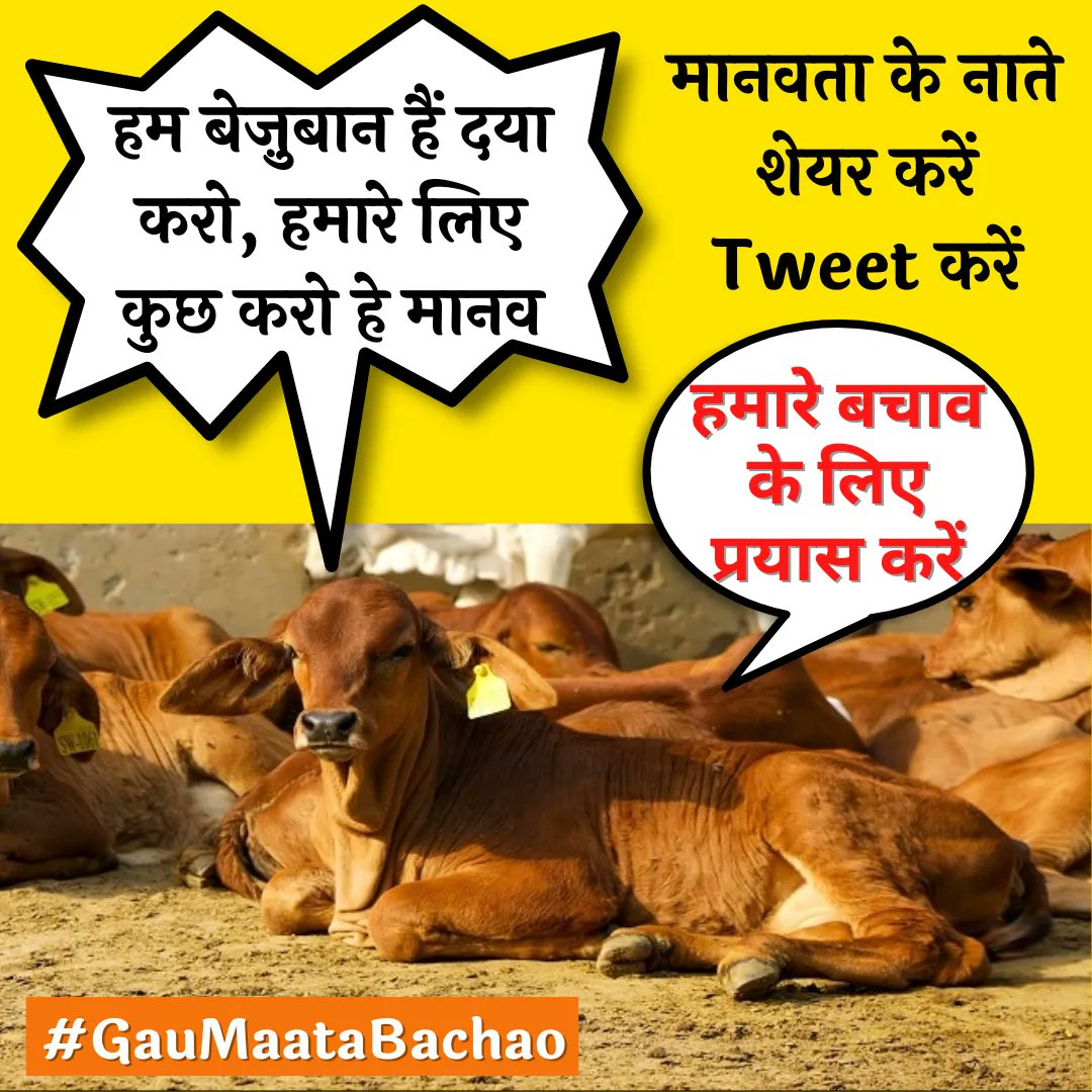 अनदेखा न करें, अगर कुछ नहीं कर सकते तो कम से कम #Retweet ज़रूर करें! #SaveCow #SaveCowsIndia #SaveGouMata #LampiVirus #GauMaataBachao
