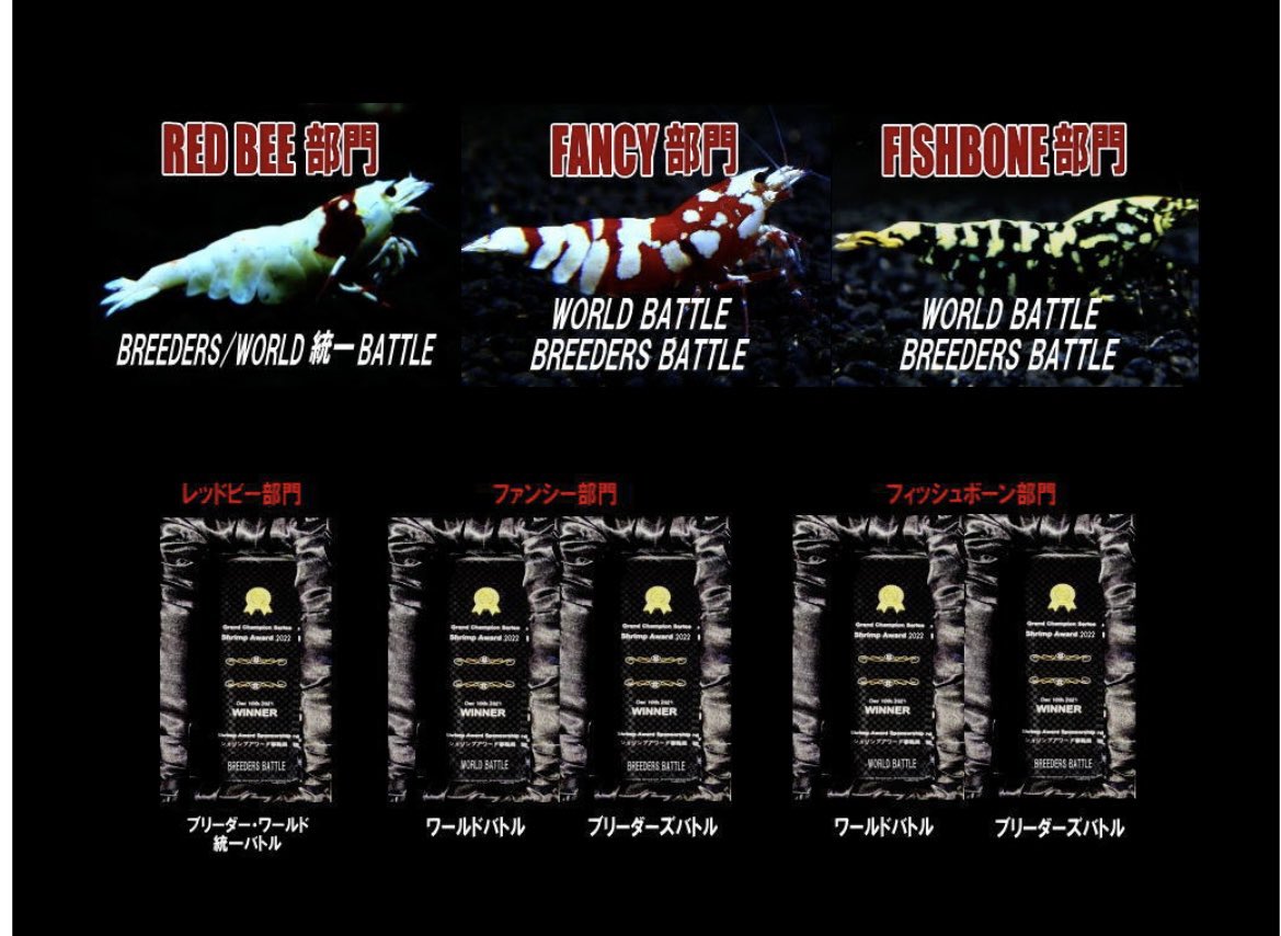 LOWKEYS2006's tweet photo. まもなくシュリンプアワード2022 第二回大会予選が開催されます

リツイートでレッドビー・RFT・FB・RFBのいずれかミドル10匹セットを抽選で5名様にプレゼント！9月21日まで
（アワード協賛各社より）

出場・入札・応援・リツイート ご参加ください

くわしくはこちら
https://t.co/DUSLwJHCs9 https://t.co/1ByRkZO1Tr