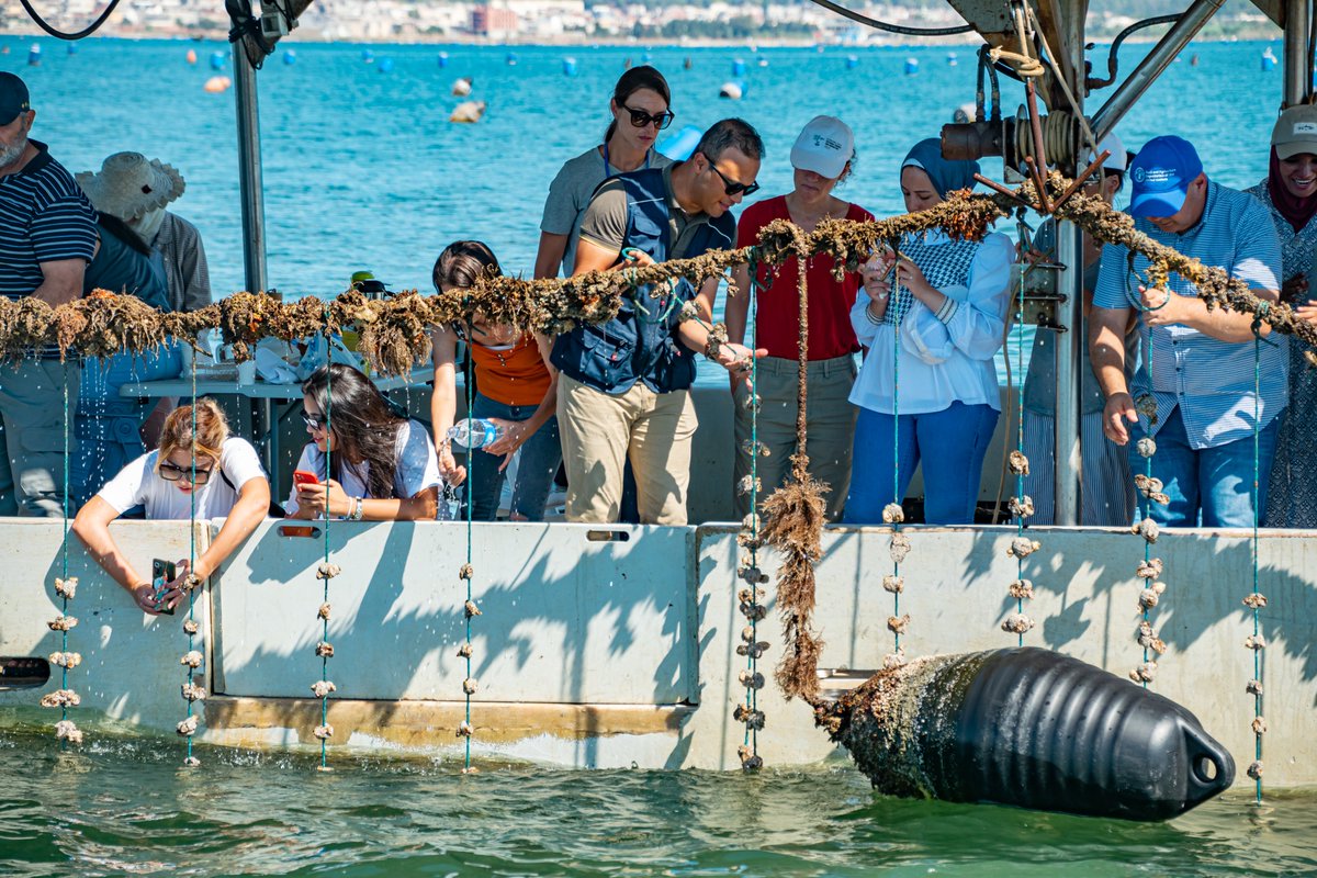 📢#Empowering young #women to lead a sustainable #aquaculture sector in the #Med & the Black Sea❗️ Find out more about the7⃣day #training that just took 21 #women on a tour of some of Tunisia’s most successful & innovative farms. fao.org/gfcm/news/deta… #IYAFA2022