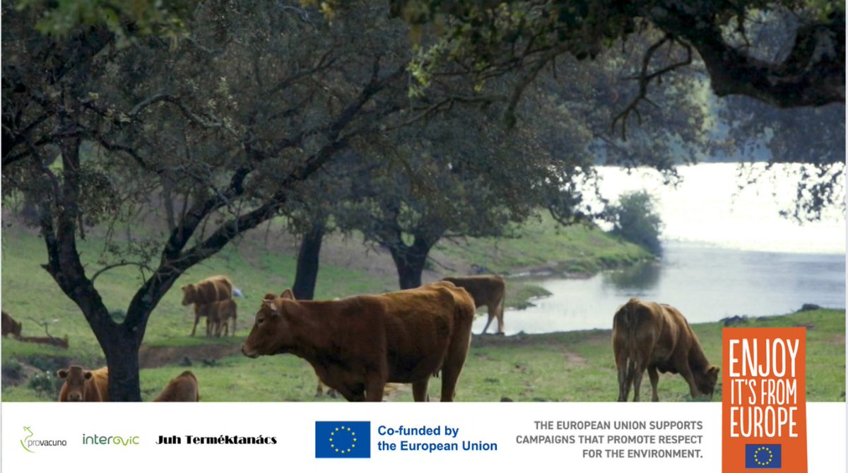 Nuestro #CompromisoBienestarAnimalEuropeo se resume en diez principios éticos fundamentales basados en el rigor científico. 

¿Quieres saber más? bienestaranimaleuropeo.com/decalogo/