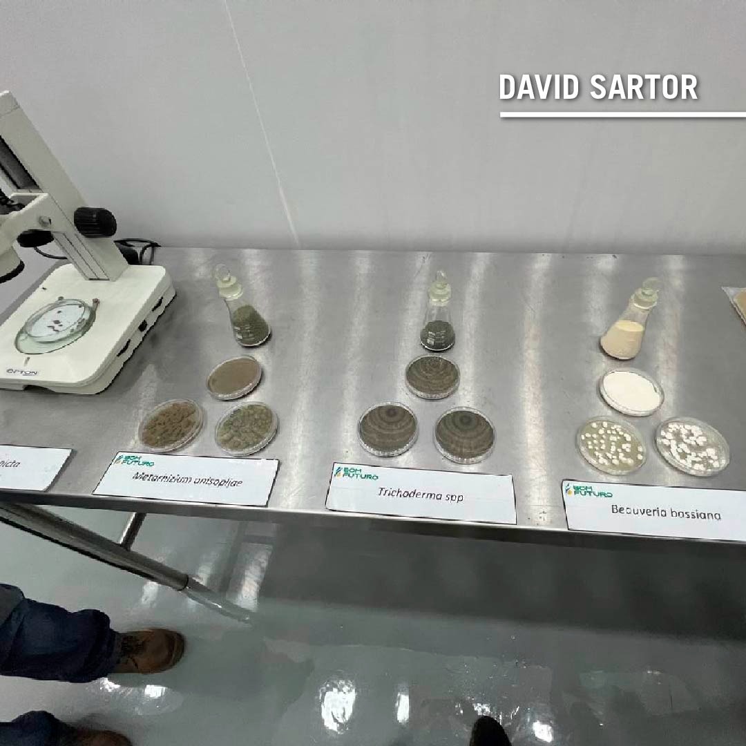 sartor_david's tweet photo. El pasado 17 estuvimos en Bon Futuro, una de las empresas agrícolas más grandes del mundo. Aquí visitamos la planta de elaboración de productos biológicos.
.
.
#sartor #davidsartor #bomfuturo #produccion #elaboración #productosbiologicos #biologico #johndeere #somosjohndeere https://t.co/Kq0K2wjsB3