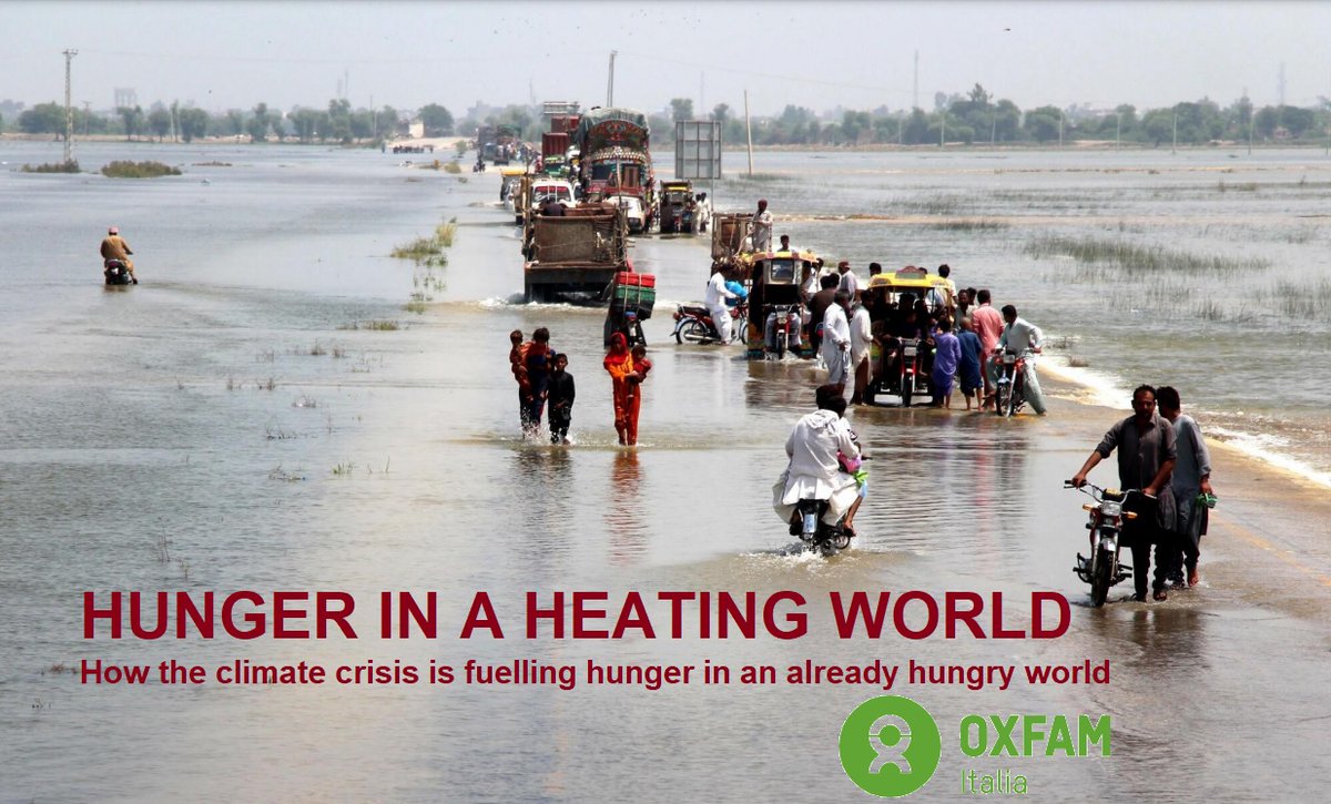 La crisi climatica affama il mondo - greenreport.it/news/clima/la-…