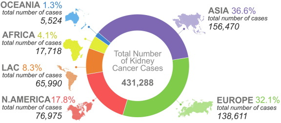 EUplatinum's tweet photo. Epidemiology of Renal Cell Carcinoma: 2022 Update 

https://t.co/BrwRXlhPvY 

@LauraBukavinaMD @spsutkaMD @kbensalah35 @benchallacombe @WesKassouf
 @tsoburol https://t.co/m7HQfjVxC5