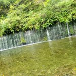 ツイートに含まれる画像