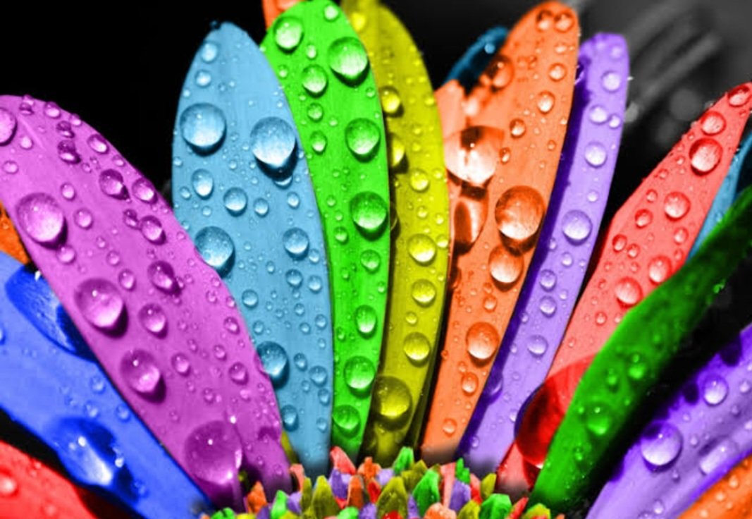 Leylak nostaljik bir renk mi?