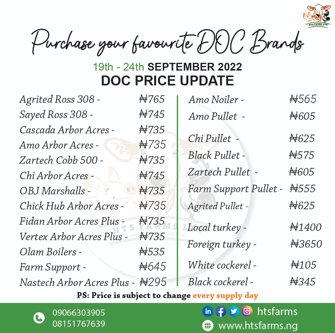 htsfarms's tweet photo. We are still taking orders for Day Old Chicks, Pullet, Noilers, Cockerels and Turkeys.

Send in your orders now, distance is never a barrier as we always supply to any location in Nigeria

#htsfarms #dayoldchicks #docbroilers #pullets #turkeys #poultry #AbujaTwitterCommunity https://t.co/5qNJfM9q5K