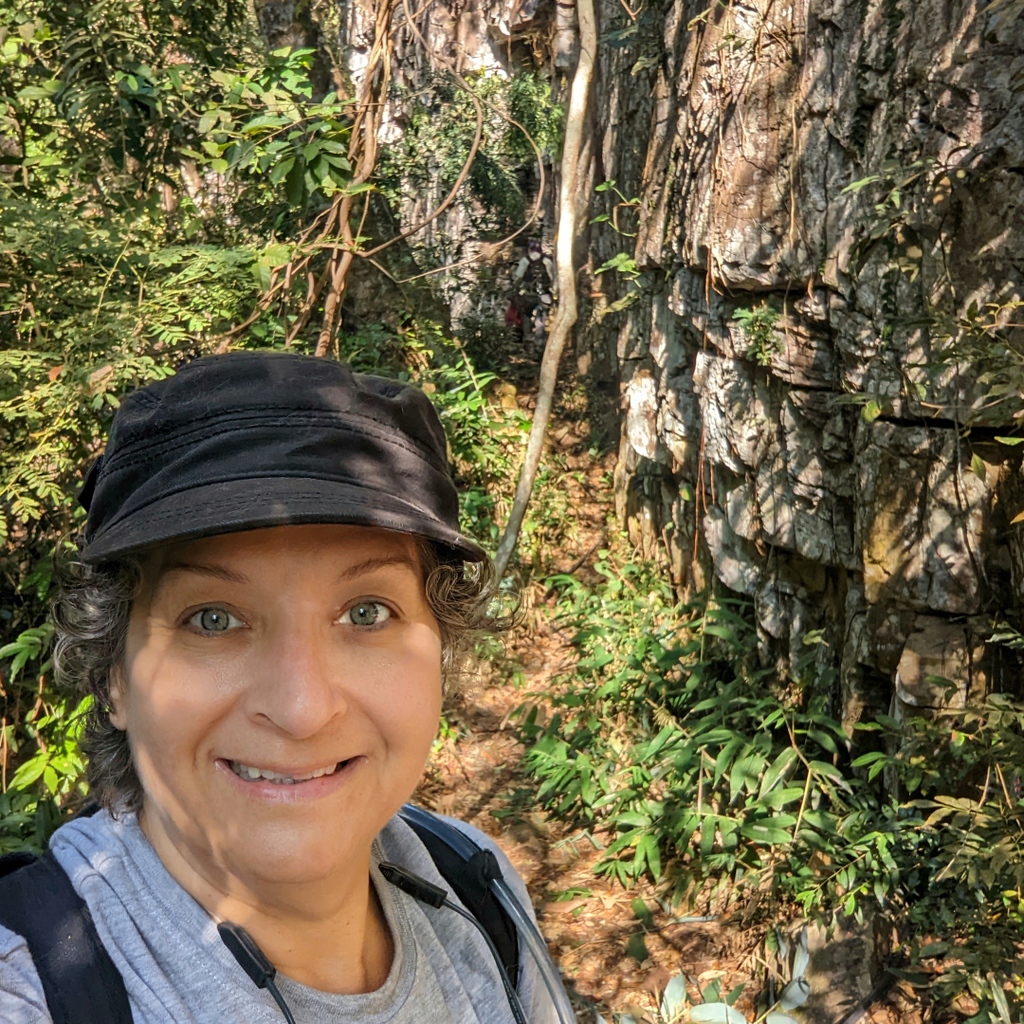 SnowAndCurt's tweet photo. Check out the cool vines covering this tree on our jungle hike! Dry waterfalls.... canyons.... monkeys... and some intense climbing! It was a fun day even if I (Snow) couldn't make it up one of the climbs! 

# https://t.co/3YIEowzmj3