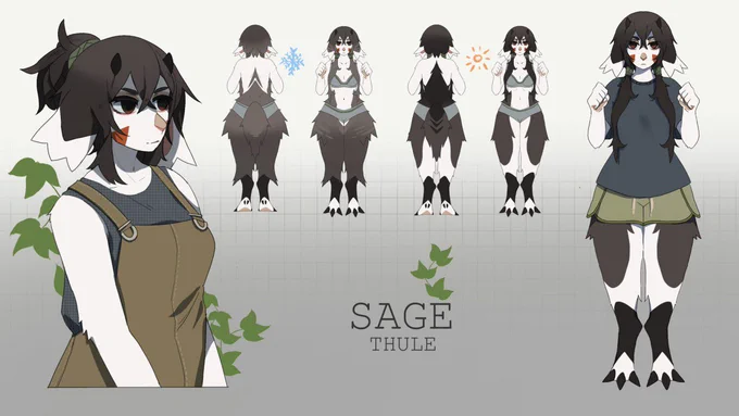 This poor sona gets overhauled every year aha 