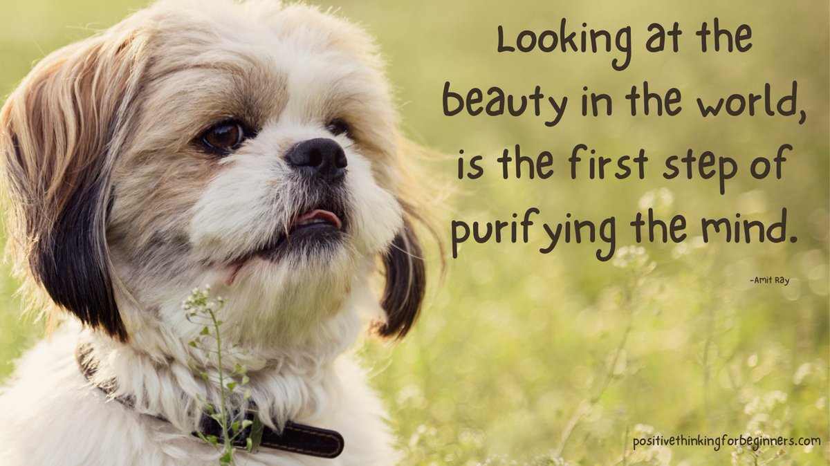 Looking at the beauty in the world, is the first step of purifying the mind. 👉follow @PositiveT4Begin for daily positive quotes #positivethinking #positivethinkingquotes #positiveattitude #positivemindset