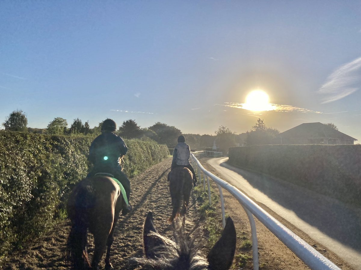 JohnWathenBerry's tweet photo. A lovely sunny, if initially chilly, start to the day (in Newmarket, anyway) of the Queen’s funeral. We’re working a shortened morning to be finished well in advance of the solemnities #PantomimePrince DasKapital #CloudyRose #TarbatNess https://t.co/JDl1uSVphL