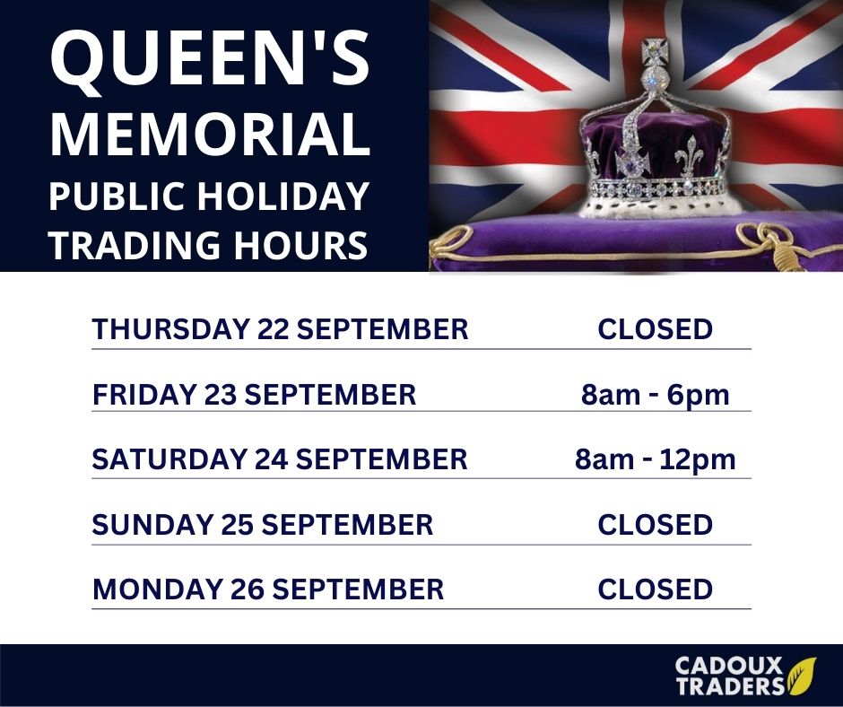 Cadoux Traders tweet media