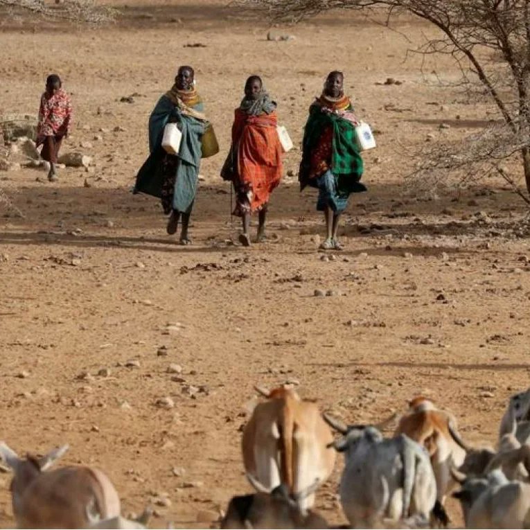 Tacceiofficial's tweet photo. In Tanzania, approximately two-thirds of workers are in agricultural sector including livestock.
Climate change impacts communities whose livelihoods depend on rain-fed agriculture and pasture, including the Maasai indigenous.
Want to support us, contact us now. #ClimateCrisis https://t.co/1ie9TcmAp0