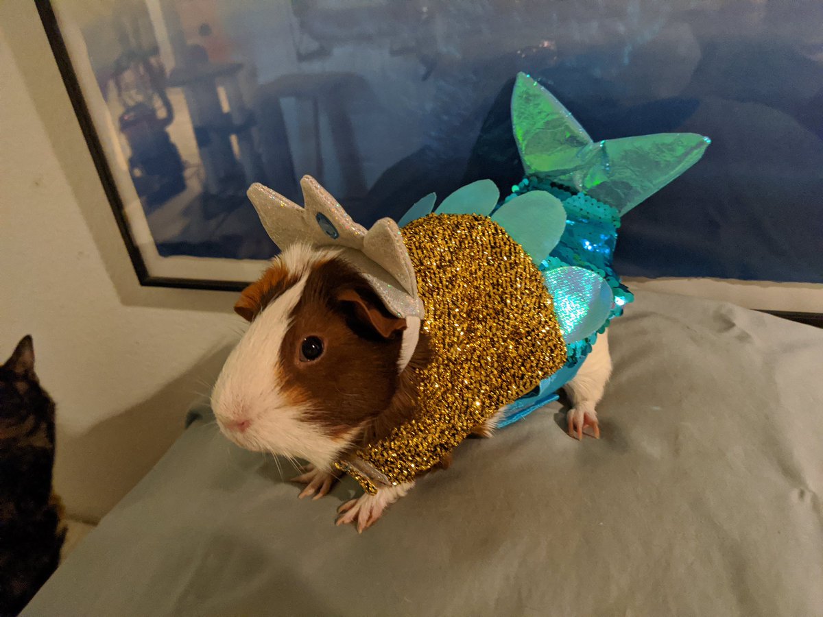 Lissem. I haf STRONK OPEENEEON about dis merperson NONSENSE. litrilly ANYWUN can do it if _I_ can do it.