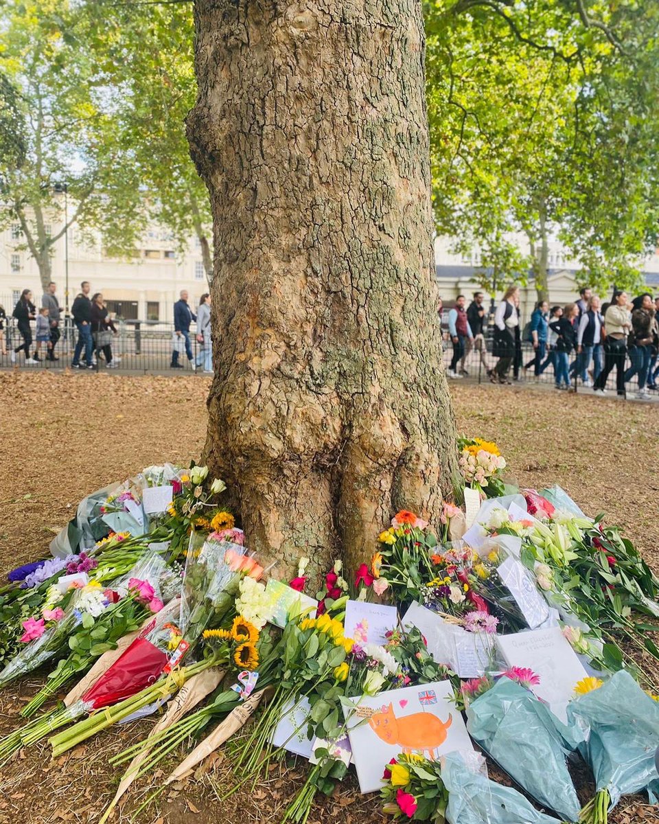 Pickhurst Infant Academy, NEST School tweet media