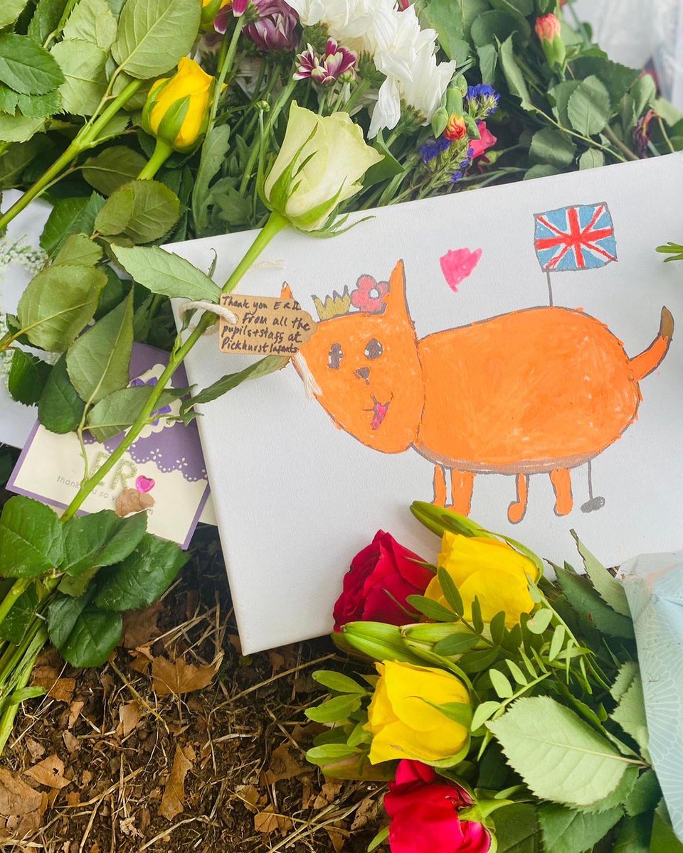 Pickhurst Infant Academy, NEST School tweet media