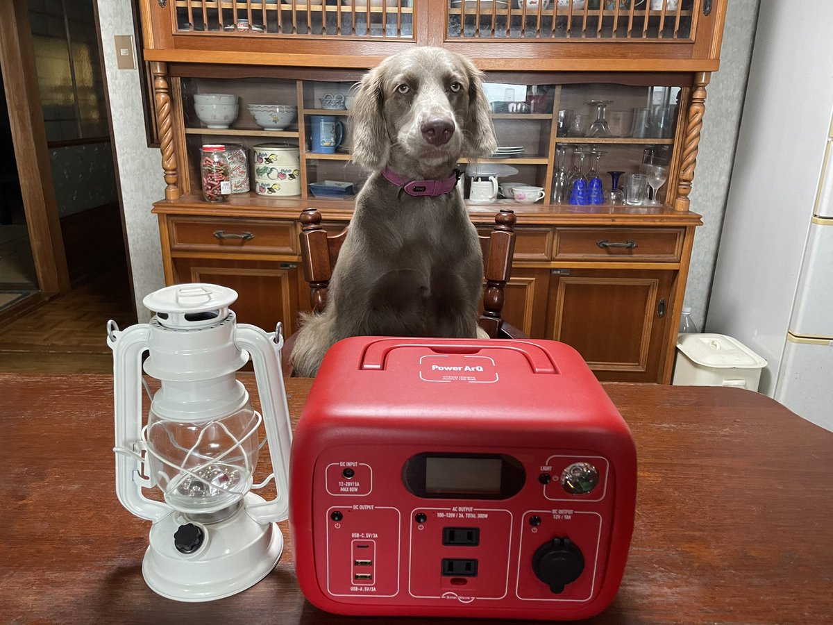 cafemandd's tweet photo. 備えあれば安心
感謝
#安心
#台風
#SmartTap #ポータブル電源 #PowerArQmini2 
#powerarq 
#powerarq2
#powerarqmini 
#ジーニー🧞‍♀️🐕
#tomboy #ワイマラナー　　#ワイマラナーロングヘアード　
#weimaraner 
#weimaranerlonghaired
#大型犬のいる暮らし
#留守番犬
#使い方わかるかな？ https://t.co/pLsTyAsLdT