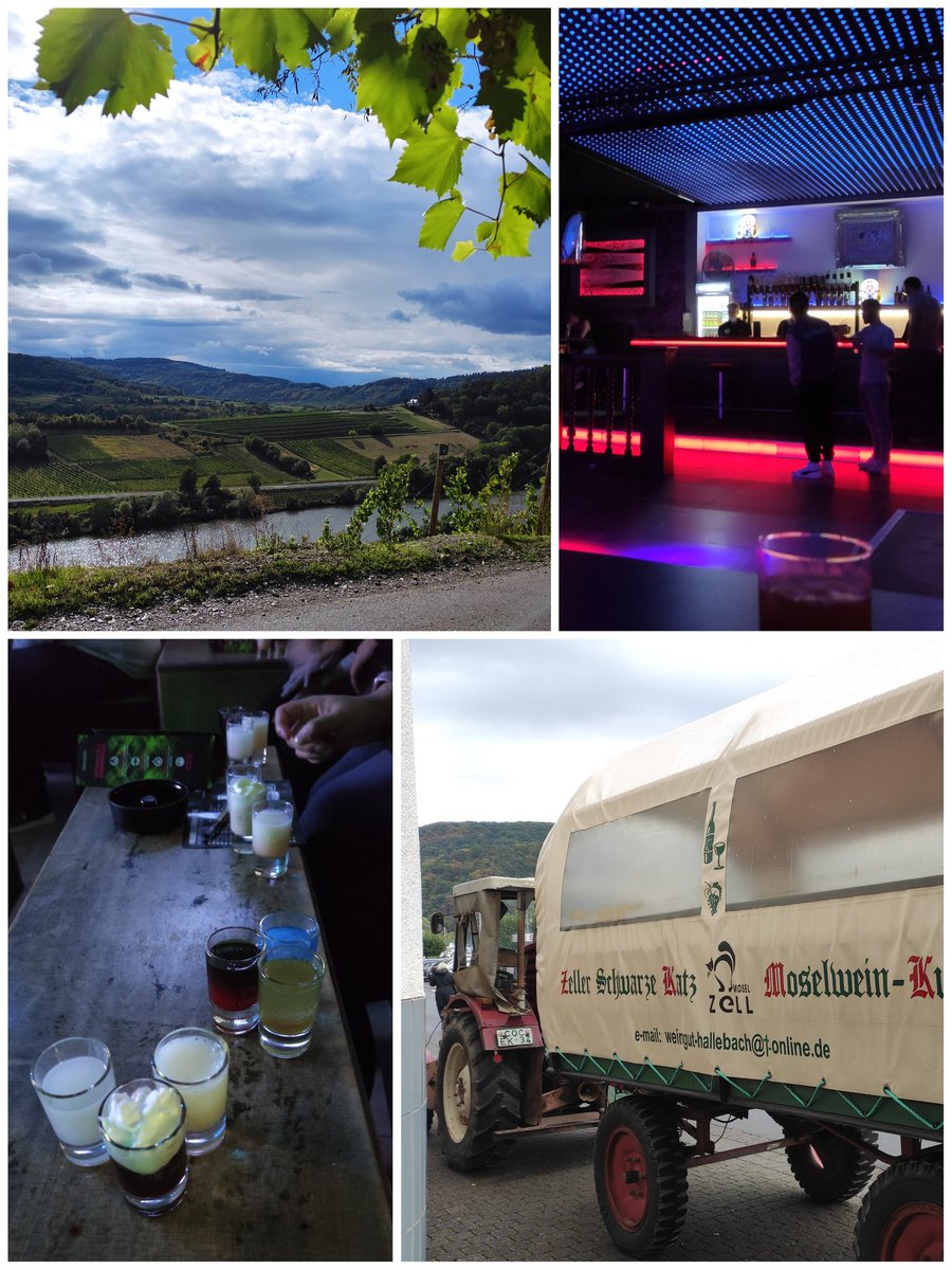 Relaxo7's tweet photo. Junggesellenabschied überlebt 🥂🥳bald wird es ernst, 🤯💍👰🏻♀️ #jga #wein #eifel #planwagenfahrt #bullay #zellerschwarzekatz #mosel #schifffahrt #koblenz #shotz #agostea #wiesohabendienureinenBHan #schaengelmarkt #sidewalk #einezugfahrtdieistlustig #vollesprogramm https://t.co/BGImaBF8FB