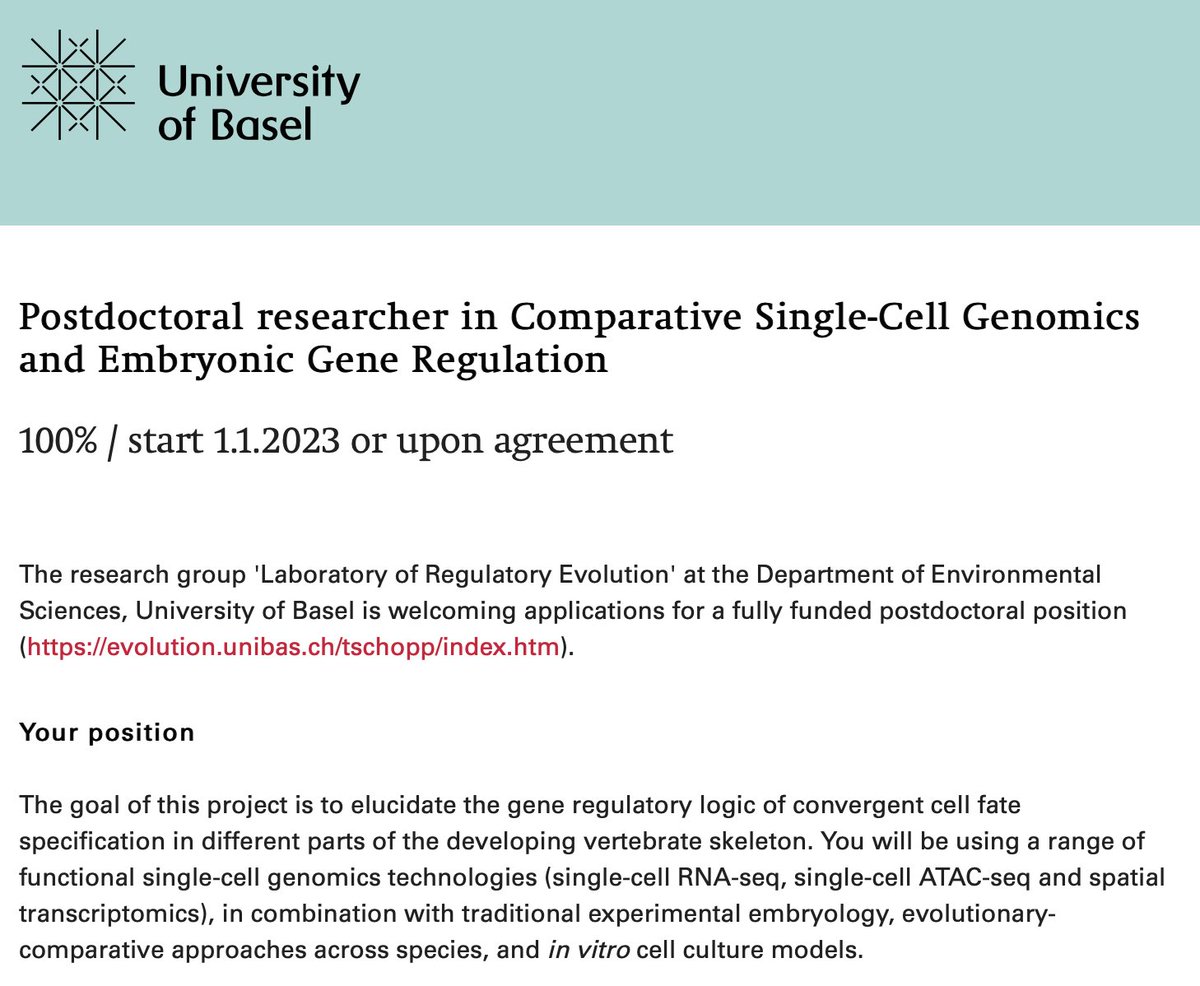 please RT - we are hiring: fully funded #Postdoc position (2+4yrs) available in our lab @UniBasel to elucidate the gene regulatory logic of convergent cell fate specification in the developing vertebrate skeleton #evodevo #genomics #singlecell > to apply: jobs.unibas.ch/offene-stellen…