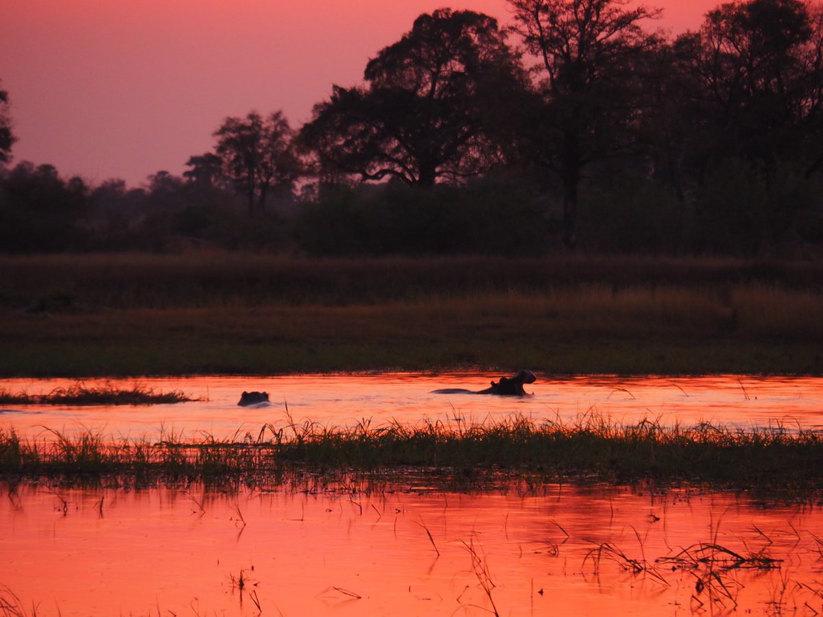 Dr Anna Bedenk-Smith (she/her) tweet media
