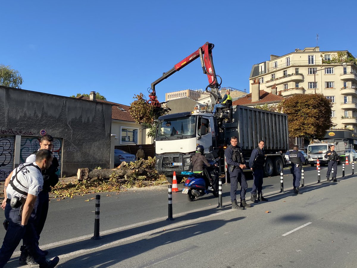 GillesRobel's tweet photo. Les marronniers de l’av G Péri à #Montreuil en train d’être abattus sous garde policière par @seinesaintdenis avec l’aval de la mairie. 7 d’entre eux n’étaient pas dangereux! 35 autres vont suivre! C’est aberrant face au dérèglement climatique. @EELV93 @GNSA_arbres https://t.co/Tg7YajiTK3