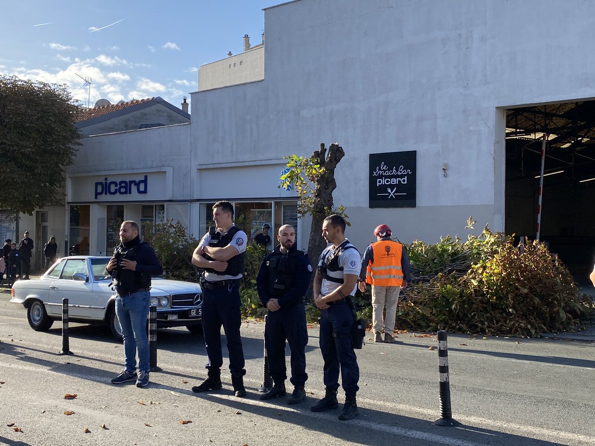 GillesRobel's tweet photo. Les marronniers de l’av G Péri à #Montreuil en train d’être abattus sous garde policière par @seinesaintdenis avec l’aval de la mairie. 7 d’entre eux n’étaient pas dangereux! 35 autres vont suivre! C’est aberrant face au dérèglement climatique. @EELV93 @GNSA_arbres https://t.co/Tg7YajiTK3