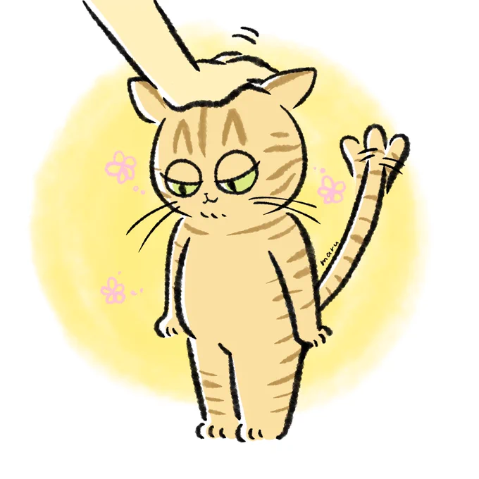 嬉しいけど素直になれないネコちゃん 