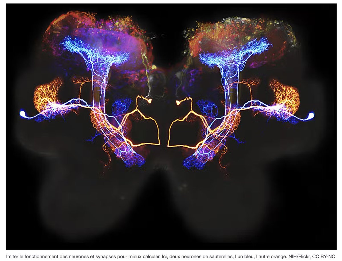 frsFNRS's tweet photo. 🧠 Le neuromorphisme ... 💻
➡️Repenser l’architecture d’un ordinateur et proposer de nouveaux composants qui s’inspirent du cerveau humain.  
➡️ Comment ? la réponse de Flavio Abreu Araujo, @FlavioABAR, Chercheur qualifié @frsFNRS @UCLouvain_be 
➡️https://t.co/0wagHiYxQZ https://t.co/b7sEwTJXlx