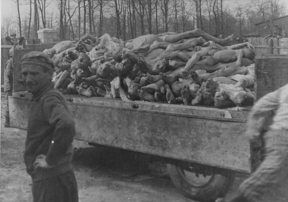 EvanABeach's tweet photo. @MarkHamill Reminder of what the Nazis did to 6+ million people in case you forgot. Before you call people Nazis MAYBE stop and think about what that really means. Having a different opinion than you does not make people Nazis, it makes them people you lazer brain. https://t.co/YgAkH2dp81