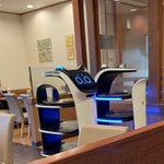 レストランで猫型配膳ロボット同士がぶつかり合って互いに「どい