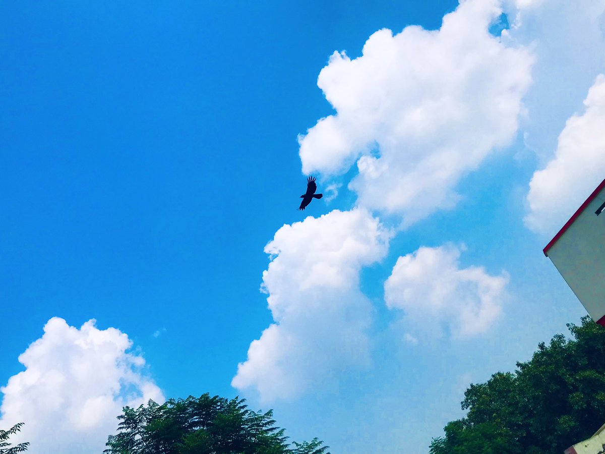sugarwithspice1's tweet photo. How’s the click ????
#iPhonephotography
#picturebyme
#nature #lovetocapture https://t.co/wroA0X0mth