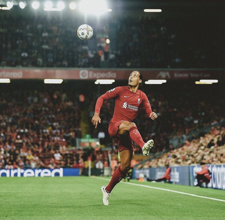 DivineUwaifo's tweet photo. Who is the best center back in the premier league?

Like for van Dijk! ❤️  Retweet for Saliba ! https://t.co/PhCF2yjrjR