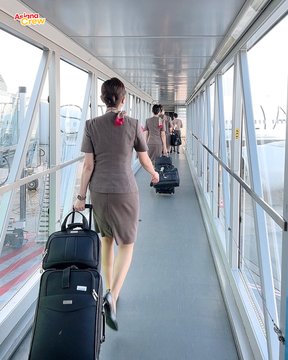 最も清潔な航空会社 ランキングtop10 1位は 全日本空輸 Ana 22年最新調査結果 2 4 ねとらぼ調査隊 2ページ目