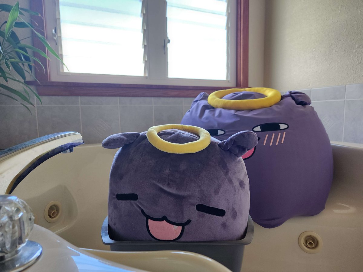 Tofuslayer1's tweet photo. #Takotakover
Takos took over one of the bathrooms... and my office. https://t.co/Szb3WatHf2
