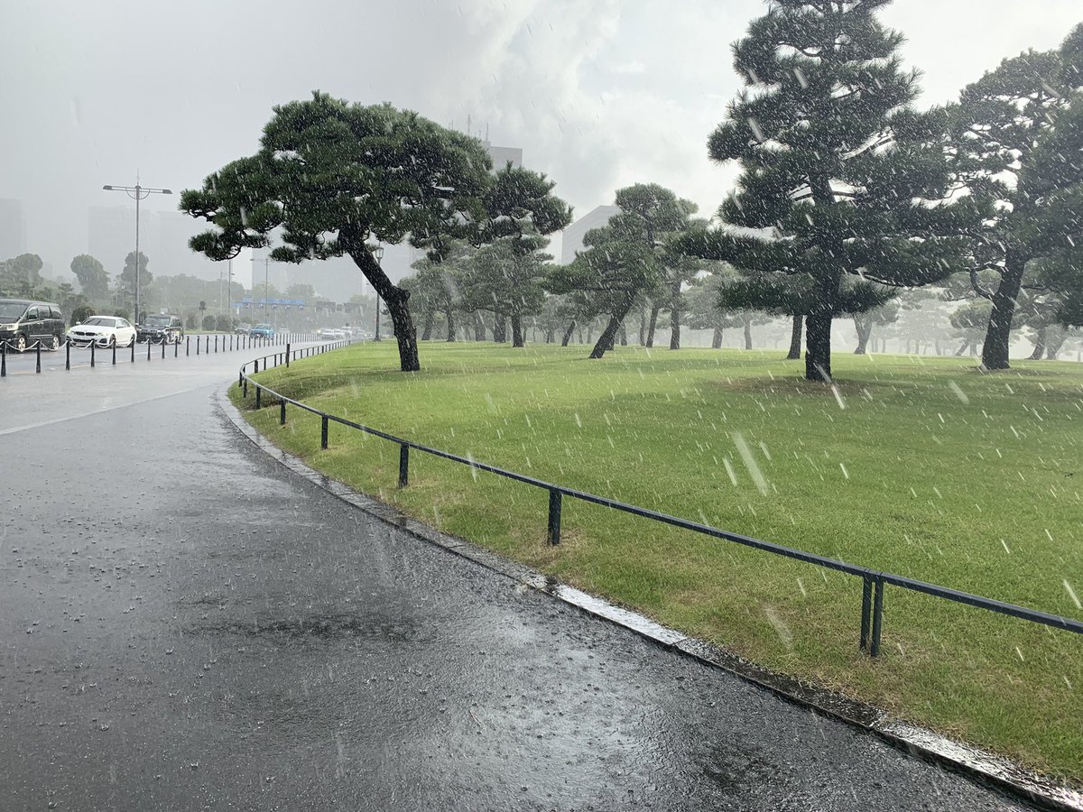 shisaninu's tweet photo. 今夜、台風で福岡帰れなくなったので、浅草から六本木までウォーキングしてきました🚶♂️
皇居前で激しい豪雨に見舞われましたが、なんとか完歩👟☔️
夜も雨風が酷くなければ歩きます!
#Steptember #Aglet #DownloadAglet @AgletApp @adidasoriginals https://t.co/STrbtq3jvI