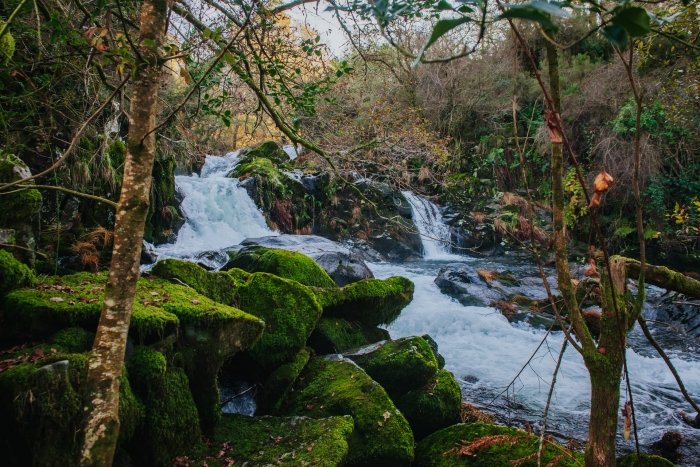 💧🍁El viernes estrenaremos el otoño, que en #Galicia alimenta con sus lluvias paisajes tan espectaculares como este de la Ruta das Fervenzas, en Mazaricos (A Coruña).
📸Concello de Mazaricos
#patrimoniohídrico