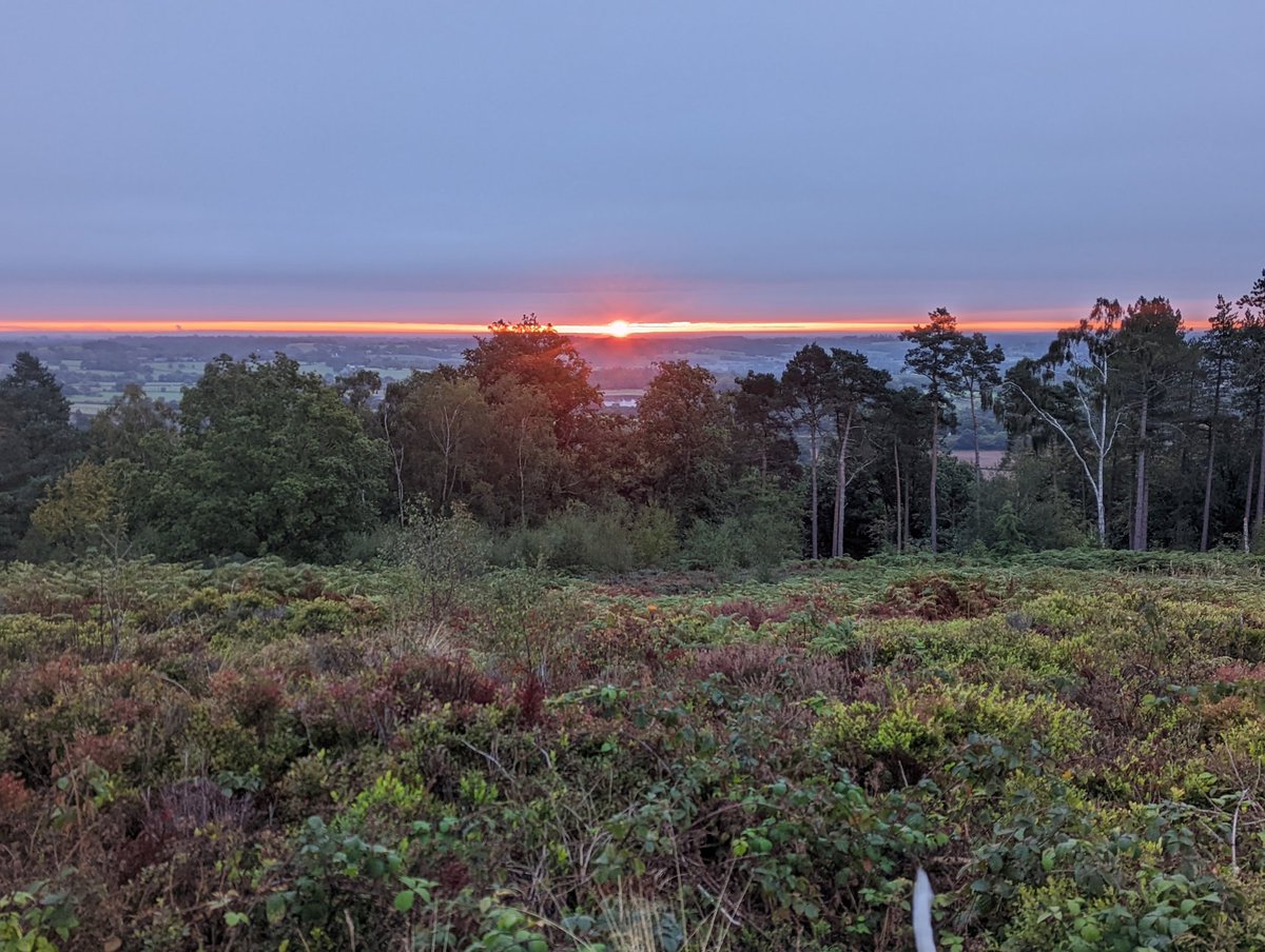 justgo2bed's tweet photo. Chasing the sunrise #lickeyhills #Birmingham #running #runner #spottydog #dalmations https://t.co/0Ugr0b0dDk