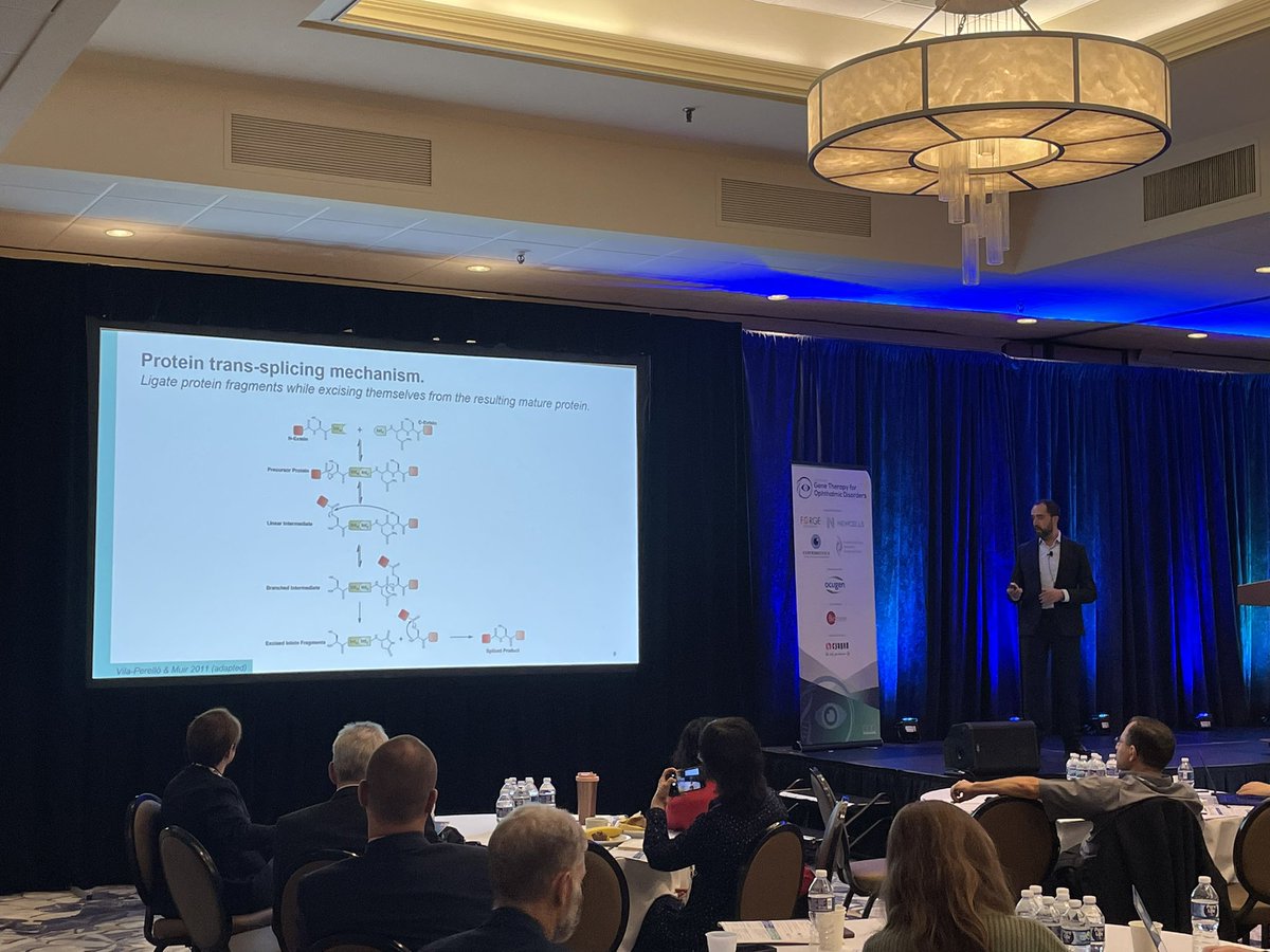 SpliceBioHQ's tweet photo. 🎙💡 Our CEO Miquel Vila and CBO Gerard Caelles invited as speakers to the Annual Gene Therapy for Ophthalmic Disorders in Boston to present the company and our fundraising case study! #genetherapy #proteinsplicing #inteins #rarediseases https://t.co/grtG8GYGgm