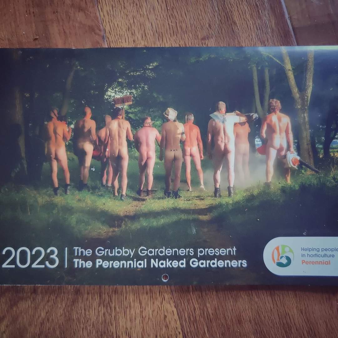 Howard White tweet media