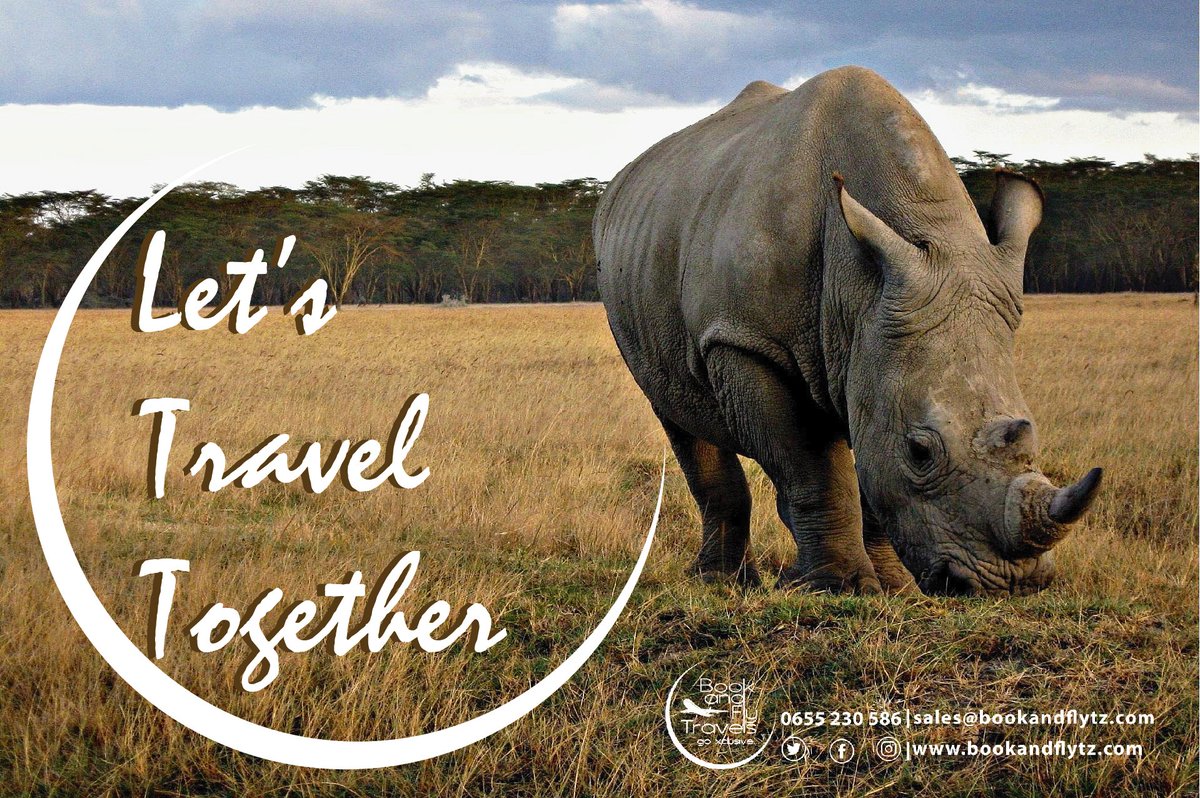 bookandflytz's tweet photo. Traveling gives us best experience that we all need to have... we can make it happen to you  and having your lifetime memories!!
.
.
Book now:+255(0) 655 230 586
Visit: https://t.co/DP4SQgPgLV
.
.
#travel #travelwithus #travelaround #travelgo #travelagency #bookingagency #fly https://t.co/ZeHeQLuSfS