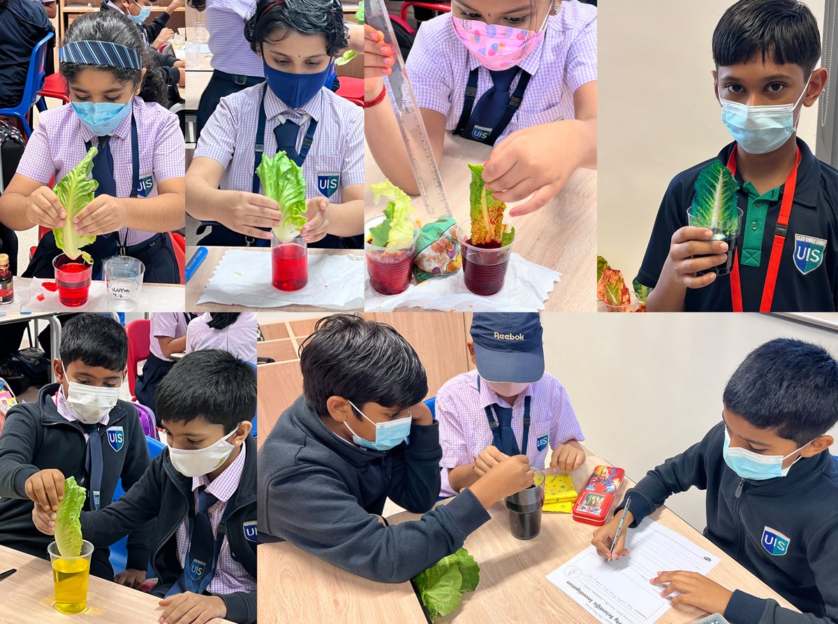GEMS United Indian School tweet media