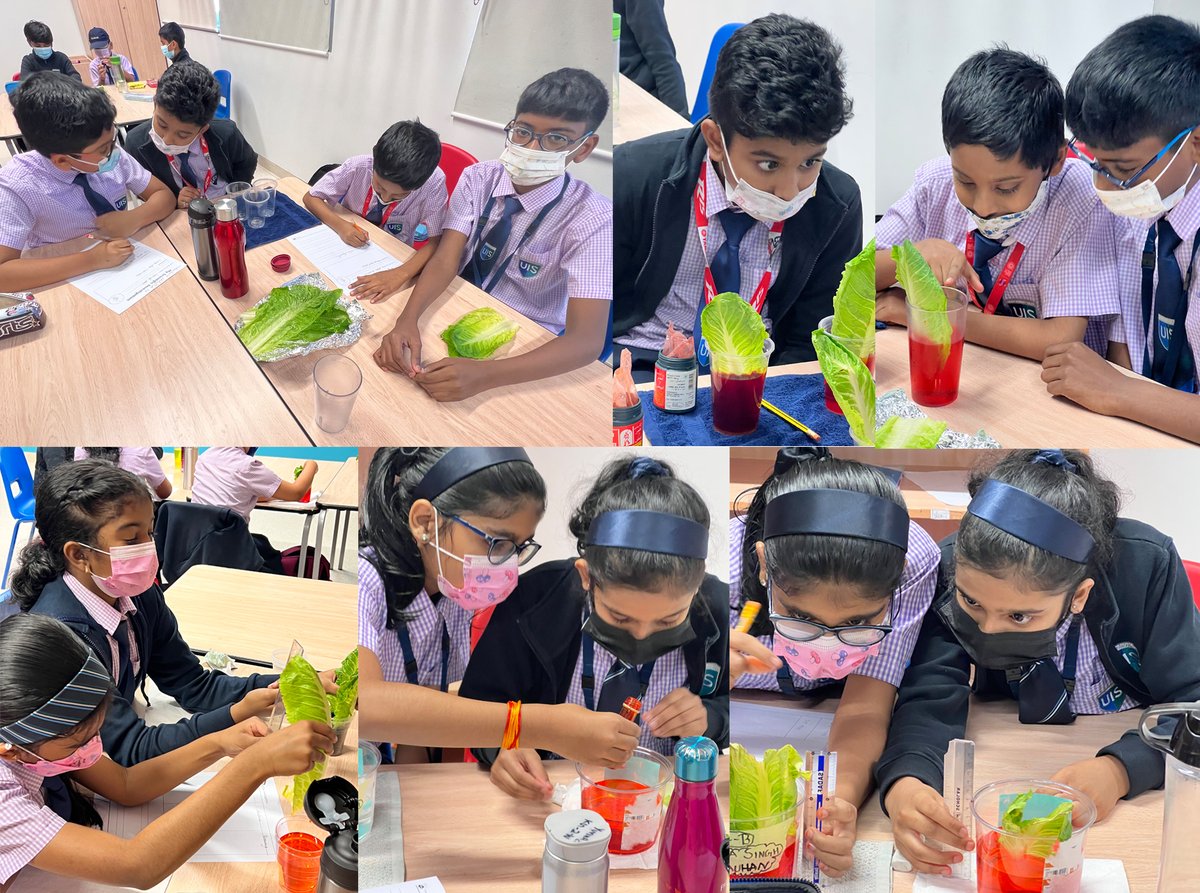 GEMS United Indian School tweet media