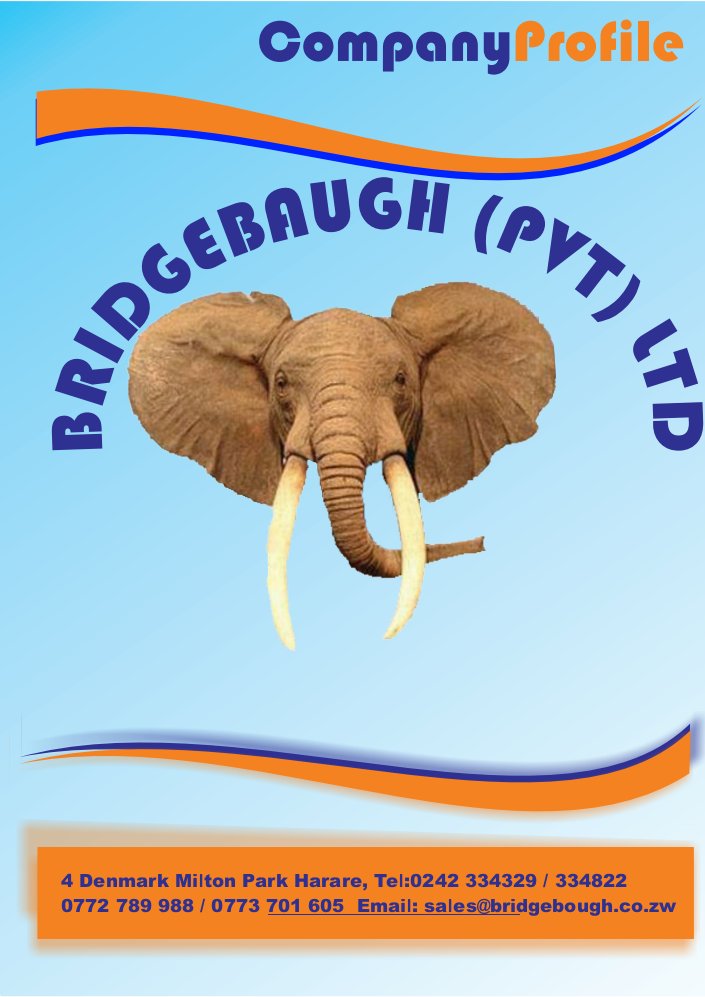 bridgebaugh's tweet image. Our Company Profile