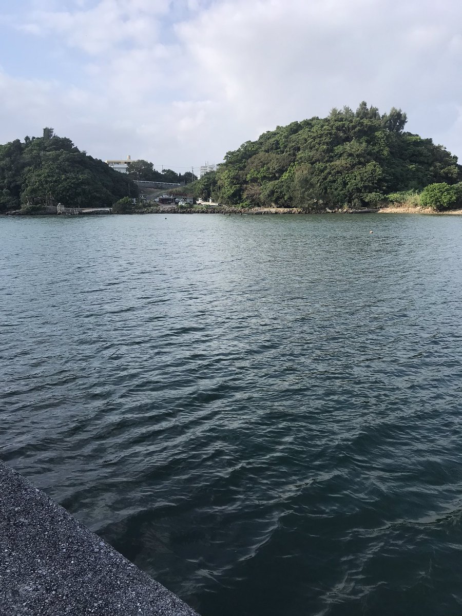 aws719's tweet photo. 久々の🎣 https://t.co/OtQFZMYeUf