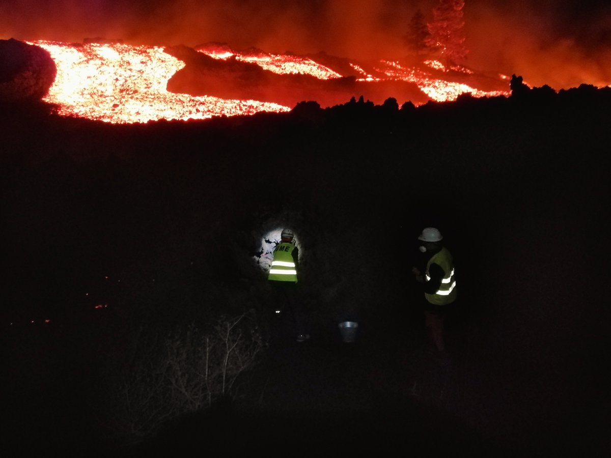 Diana Morant tweet media