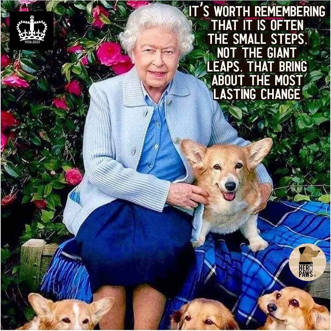 jaimegarner20's tweet photo. Thank you Ma'am
For all you gave 
Rest now https://t.co/Qypuaz0GcU